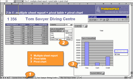 AfalinaSoft XL Report for Delphi Screenshot